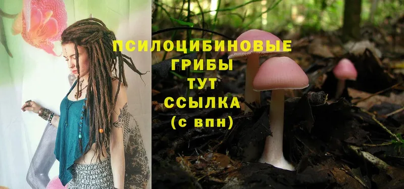 Псилоцибиновые грибы Psilocybine cubensis  даркнет сайт  блэк спрут рабочий сайт  Энгельс 